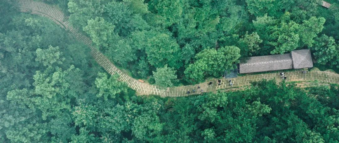 CE5062816A7BB2FB5365B3DE616_3965D7C3_22D49 (1).jpg